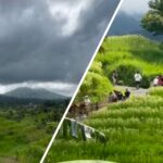 Gairahkan Sport Tourism, ASITA Bali Gelar ‘Bali Tourism Run 2026’ di Jatiluwih Juni Mendatang