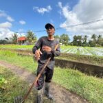 KUR BRI Jadi Penopang Modal, Petani Bunga Pacah Terus Jaga Pasokan Sarana Upacara di Tengah Fluktuasi Harga dan Tantangan Cuaca